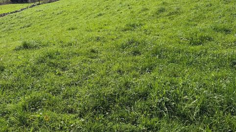 Foto 5 de Finca rústica en venda a El Coteron, Solórzano, Cantabria