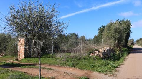 Photo 5 of Residential for sale in Campos poble, Campos