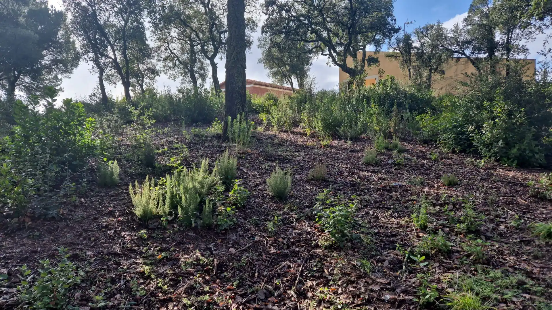 Terrenos y solares en venta en Lloret Residencial - Montlloret, imagen 4