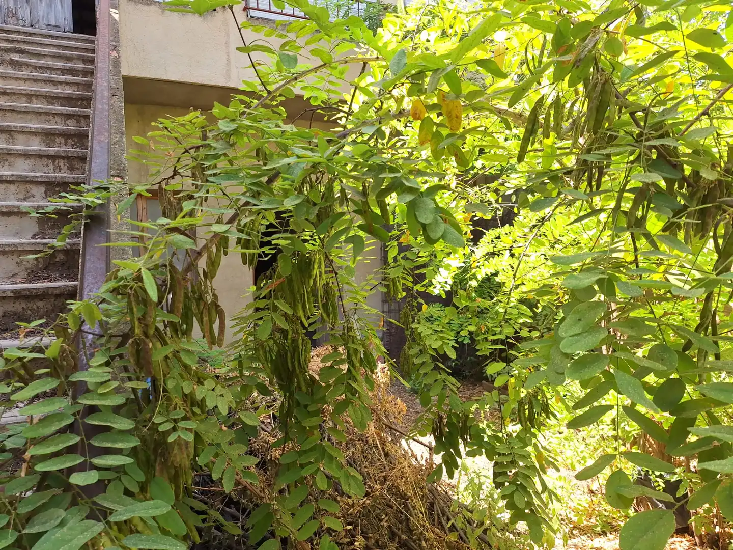 Jardín de Edificio en venta en Centro