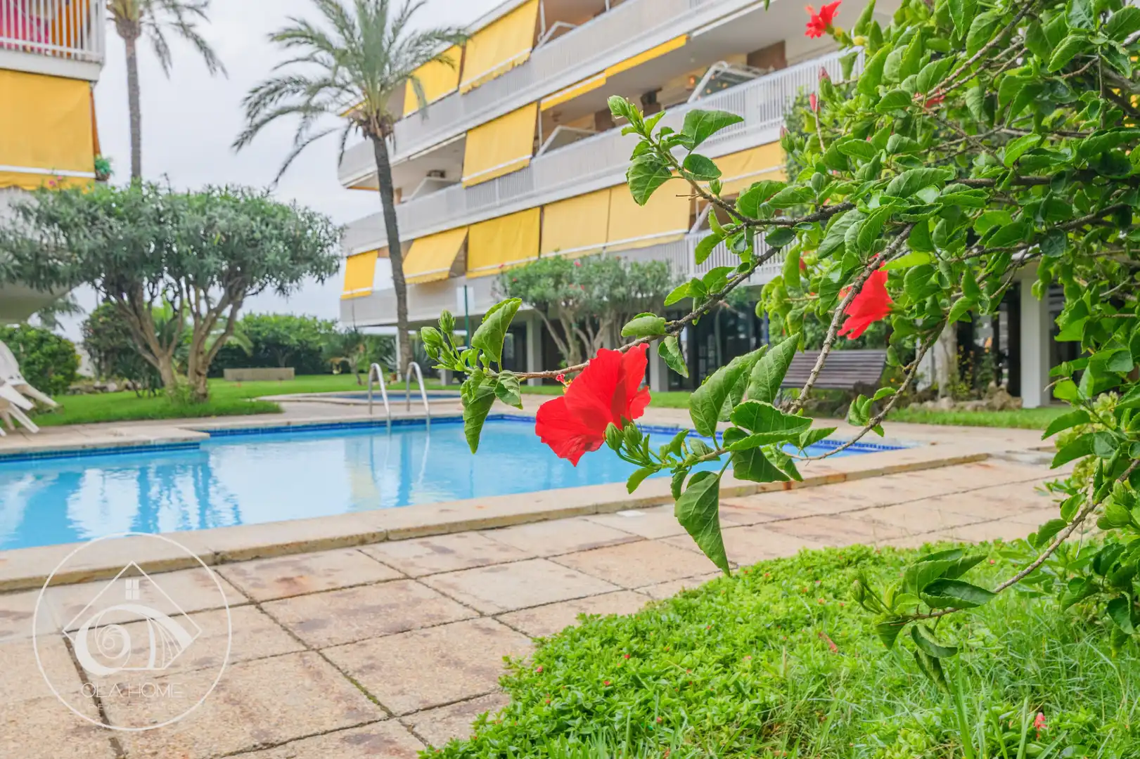 Piso con terraza en venta en Passeig Marítim, imagen 6