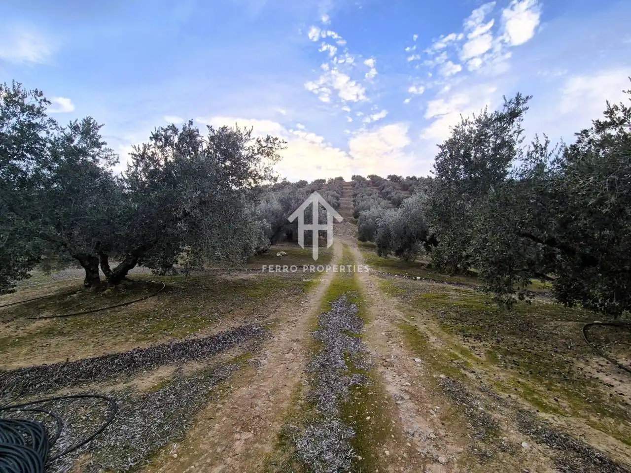 Terreni e lotti in vendita a Huétor Tájar, imagen 27