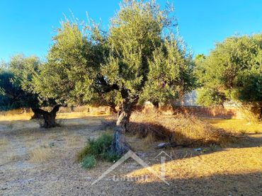 Terreni e lotti in vendita a Urbanizacion Casquero