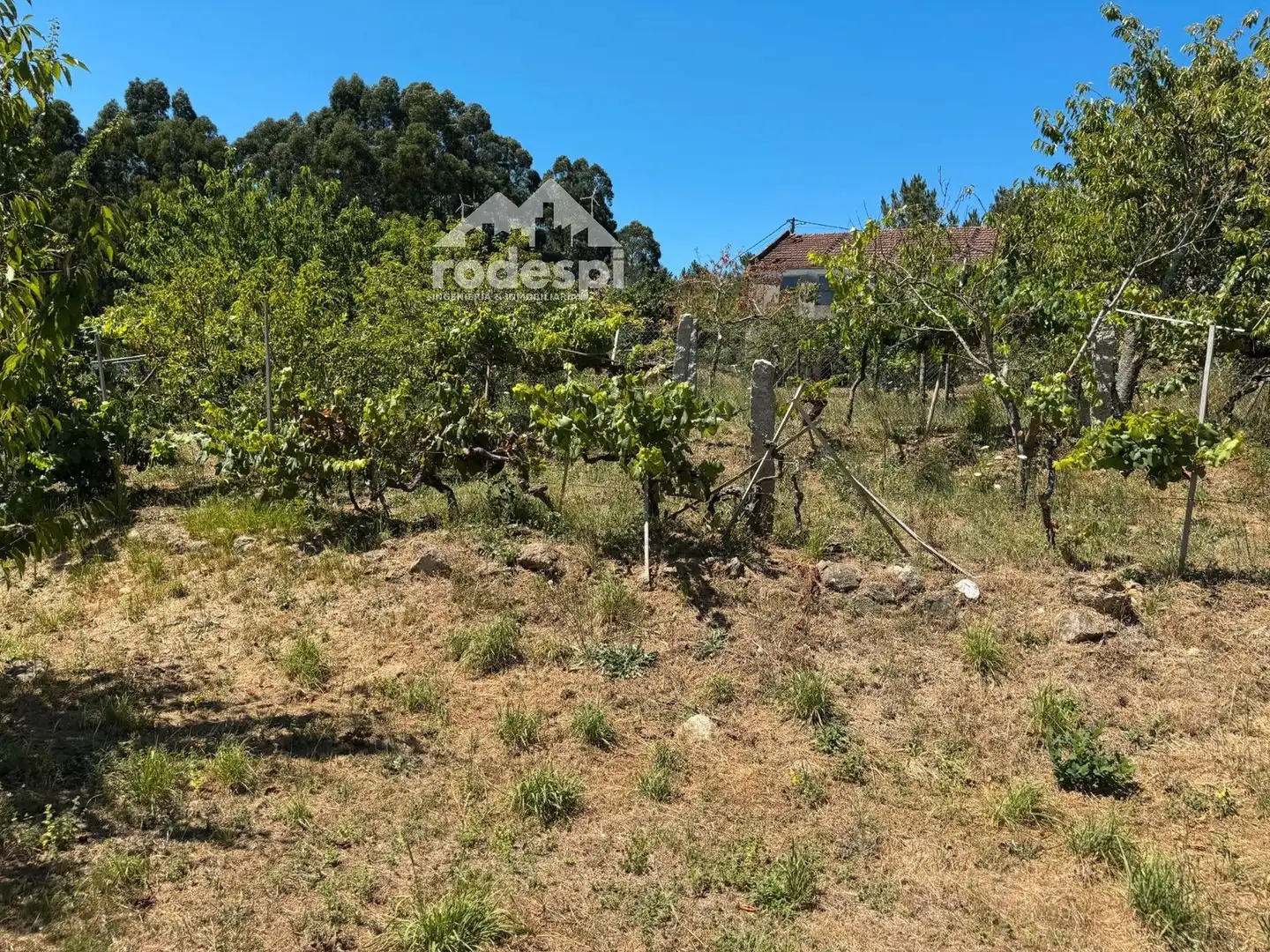 Maison à vendre à Crecente, imagen 13