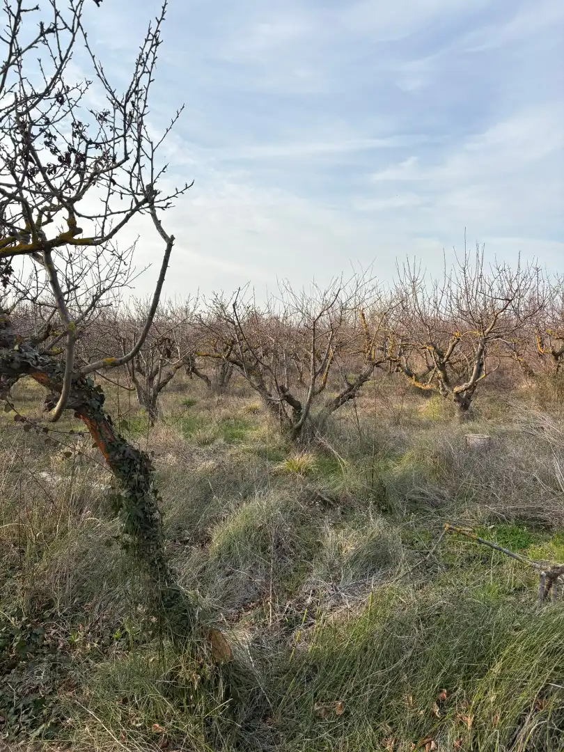 Terreno rústico en venta en Albelda de Iregua, imagen 4