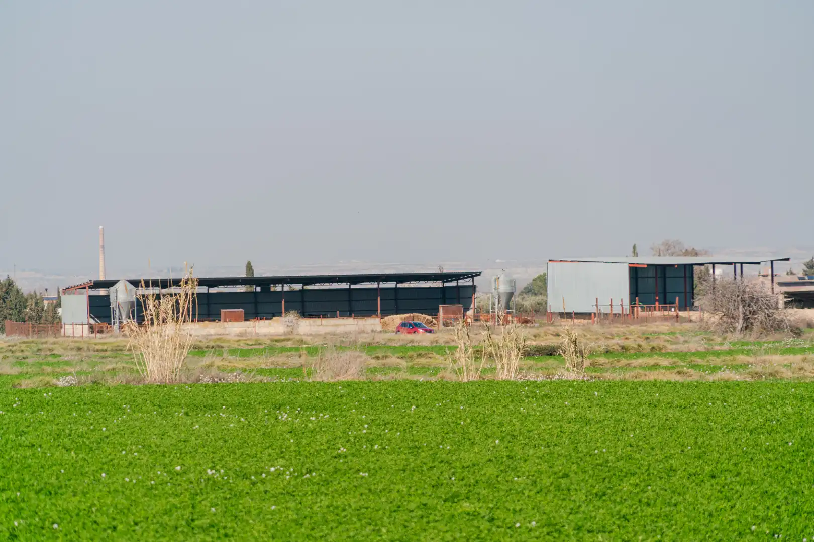Vista exterior de Finca rústica en venda en Pedrola amb Jardí privat, Terrassa i Moblat