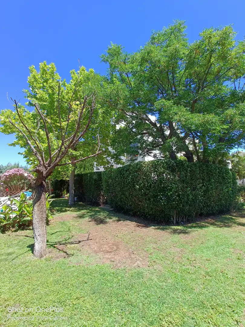 Jardí de Casa o xalet en venda en Nambroca amb Calefacció, Jardí privat i Moblat