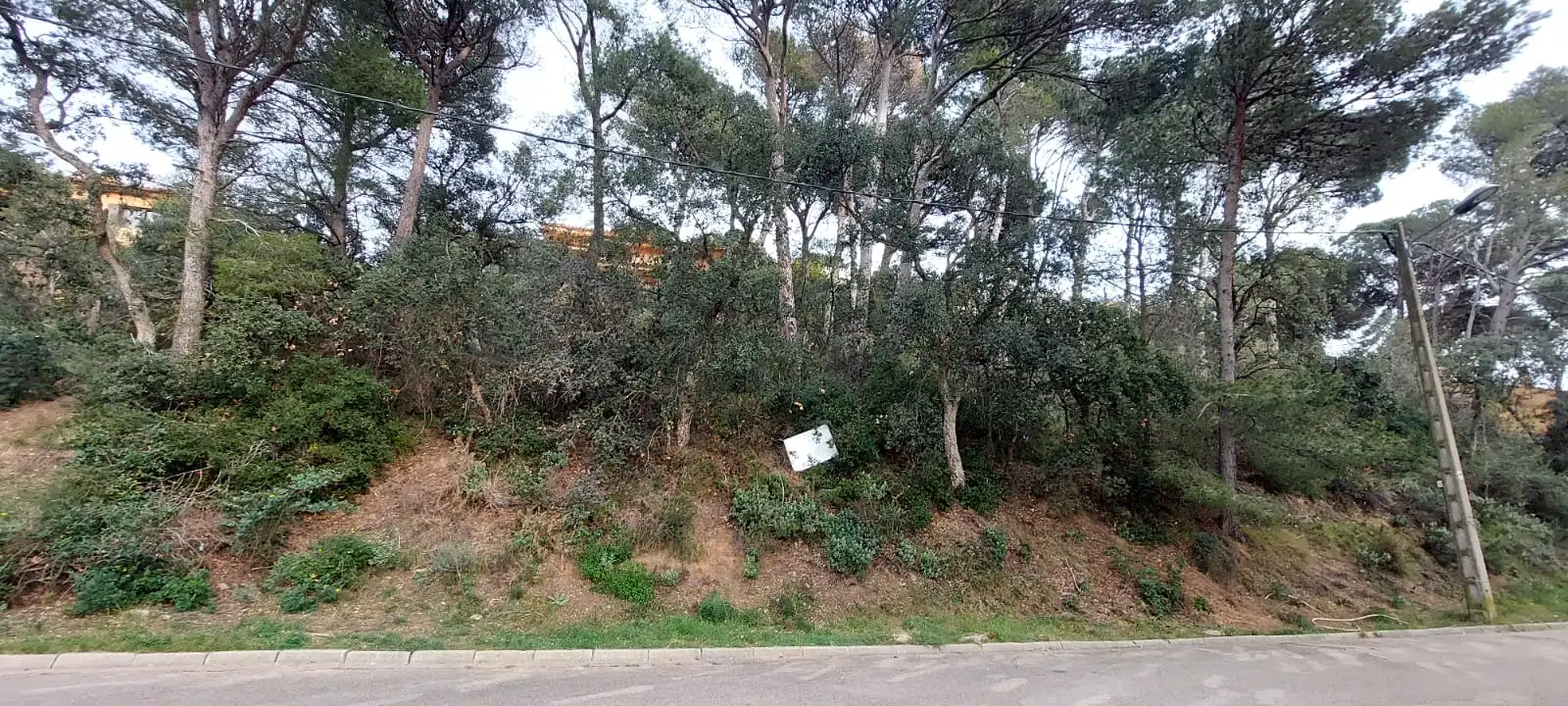 Terreny residencial en venda a Tamariu, imagen 13