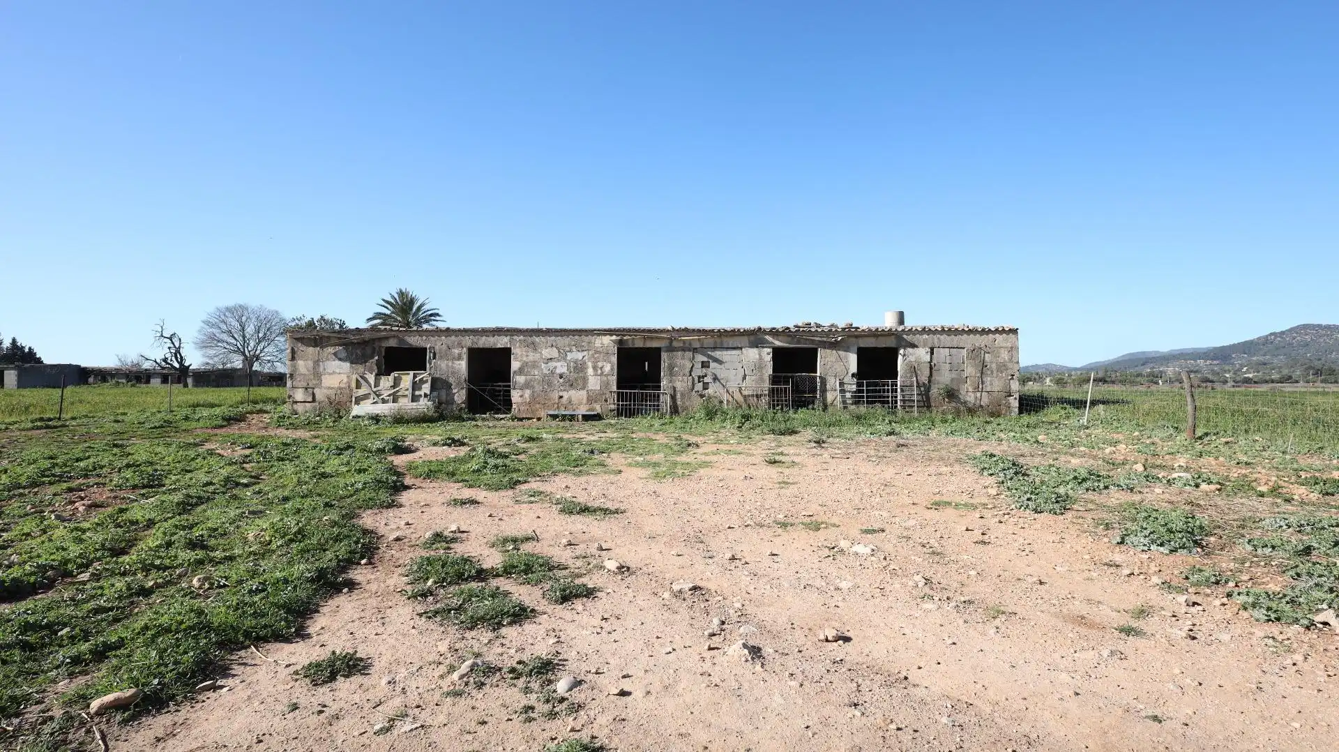 Terreno rustico in vendita a Binissalem, imagen 5