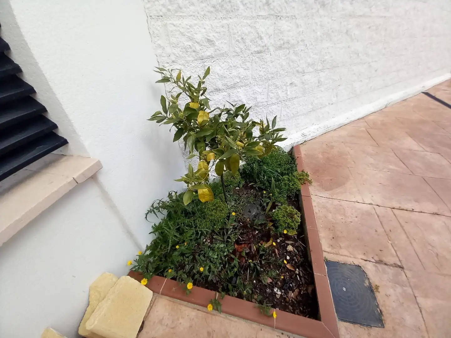 Balcony of Houses for sale in Ronda  with Air Conditioner, Heating and Private garden