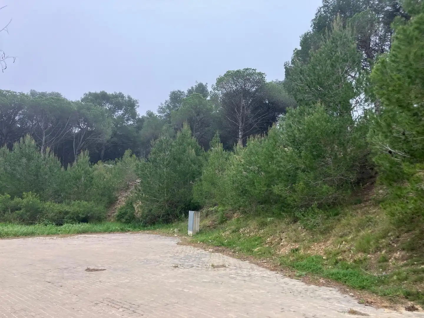Wohnbaugrundstück zum Verkauf in Avenida DR FCO JAVIER IRURITA