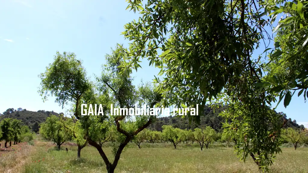 Country homes for sale in Fabara
