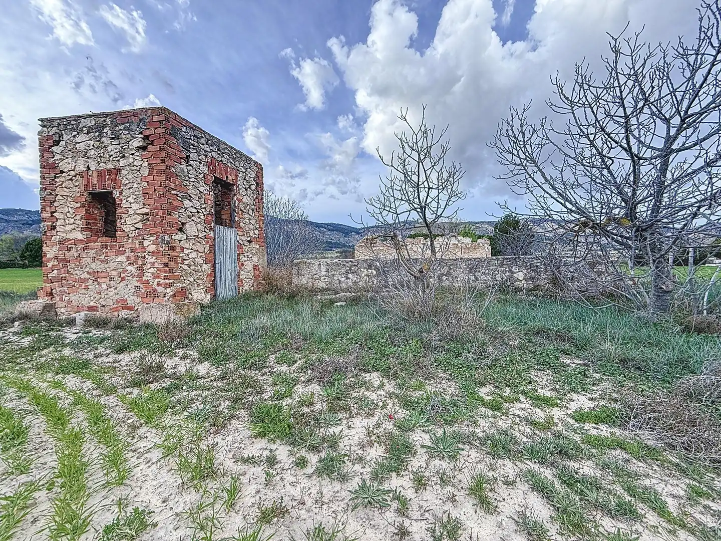 Rural land for sale in Partida Polígono 12 Parcela 103 CAÑARETS. ONIL (ALICANTE, imagen 6