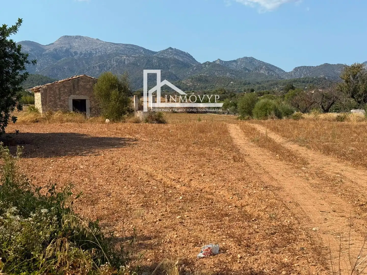 Finca rústica en venta en Lloseta