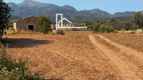 Foto 3 de Finca rústica en venta en Lloseta, Illes Balears
