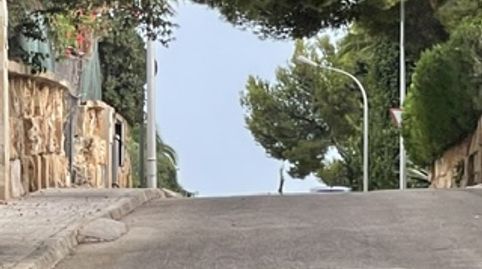 Foto 3 de Casa o xalet en venda a Cas Català - Illetes, Calvià