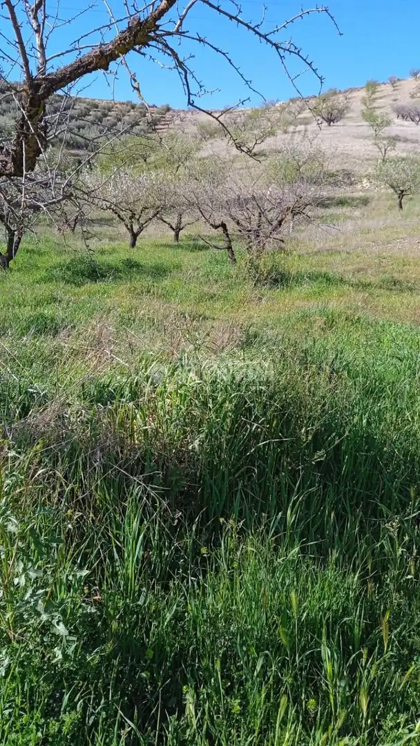 Terreny en venda en Gójar