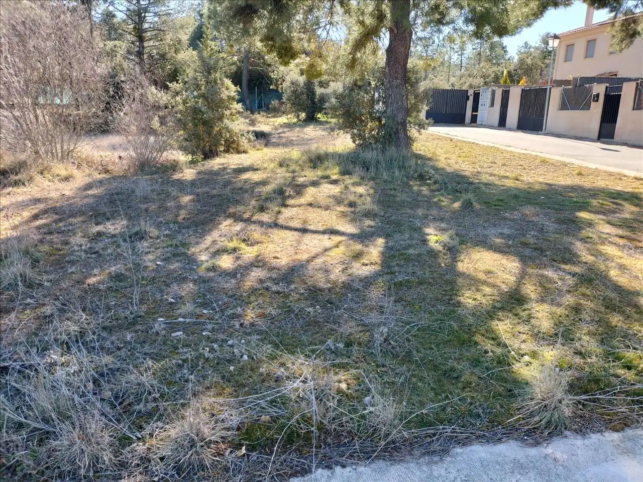 Terreni e lotti in vendita a Lago, imagen 5