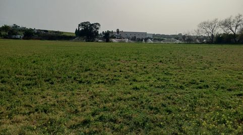 PRECIOSAS FINCAS DE REGADIO, imagen 3