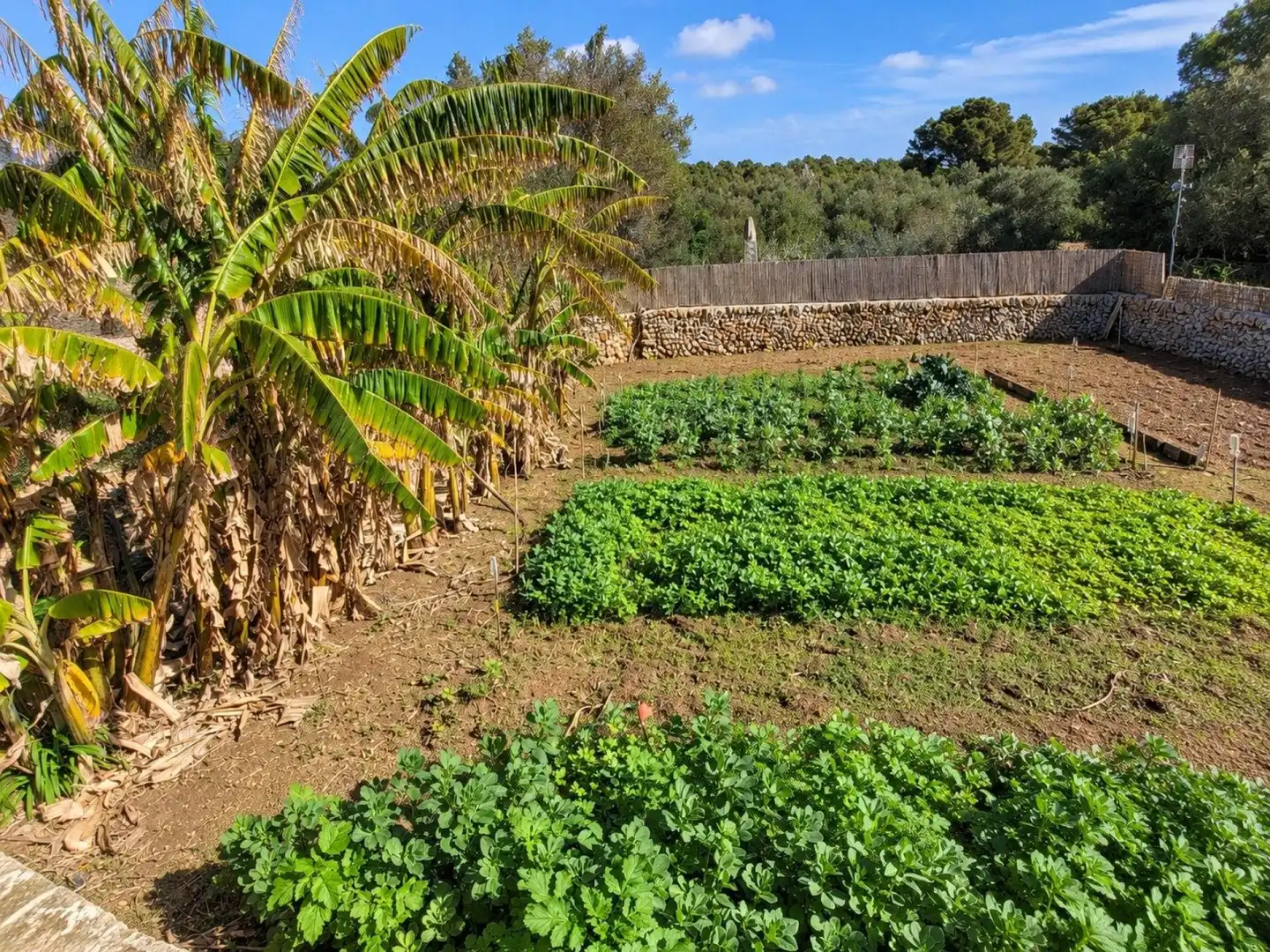 Country house with pool for sale in Llucmaçanes, imagen 49