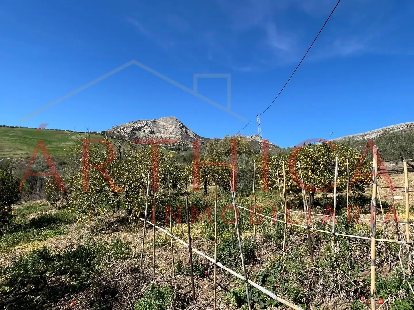 Chalet con jardín en venta en Diseminado Poligono, imagen 57