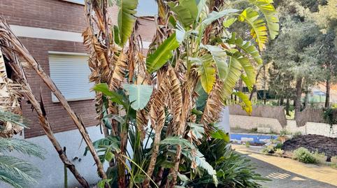 Photo 4 of House or chalet for sale in La Móra, Tarragona