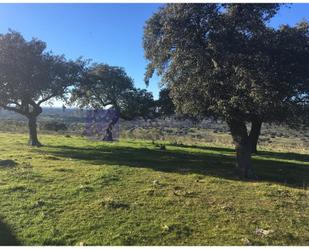 Finca rústica en venda en Valdeobispo