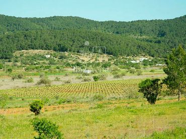 Terreny residencial en venda a Sant Mateu d'Albarca