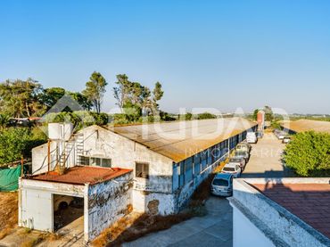 Local comercial en venta en Coria del Río