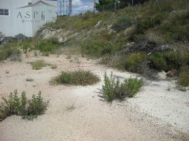 Terrenos y solares en venta en Novelda