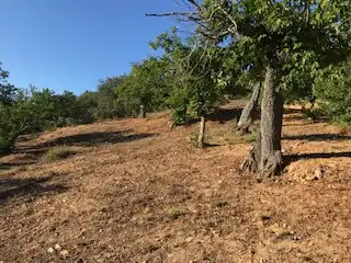 Terreni e lotti in vendita a Cortegana, imagen 19