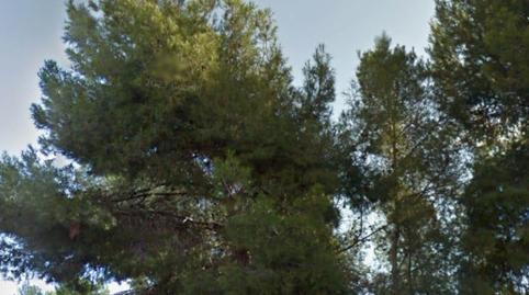 Photo 4 of Single-family semi-detached for sale in Las Cruces, Villena