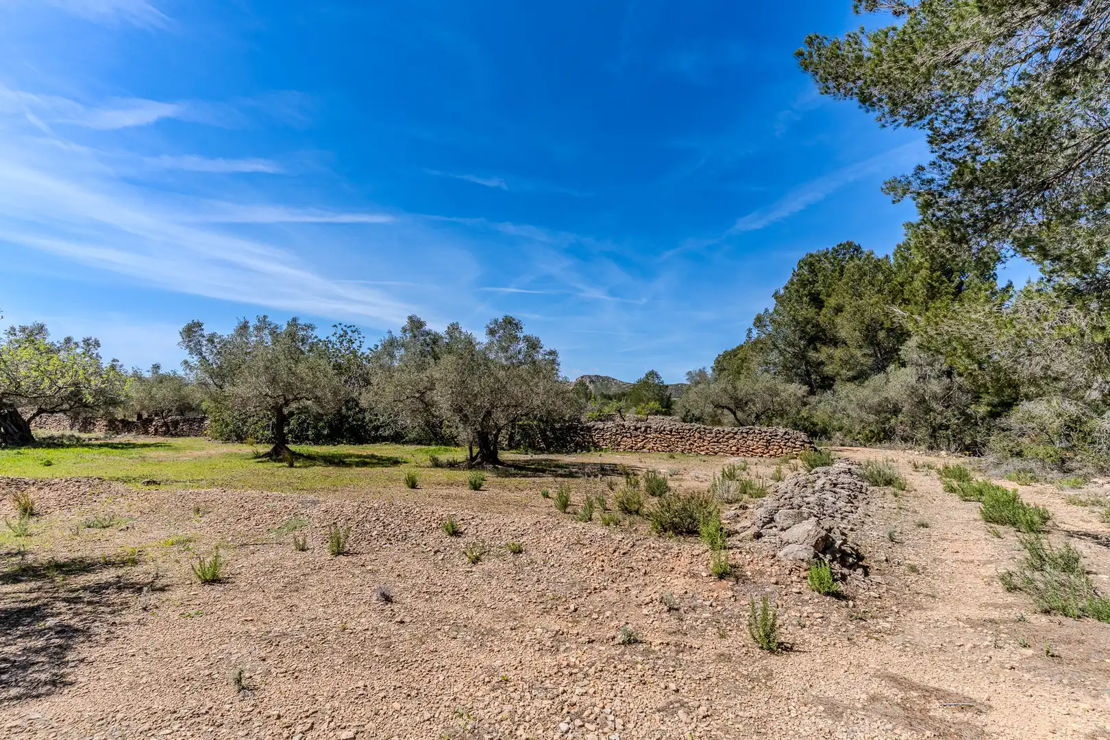 Land for sale in El Perelló