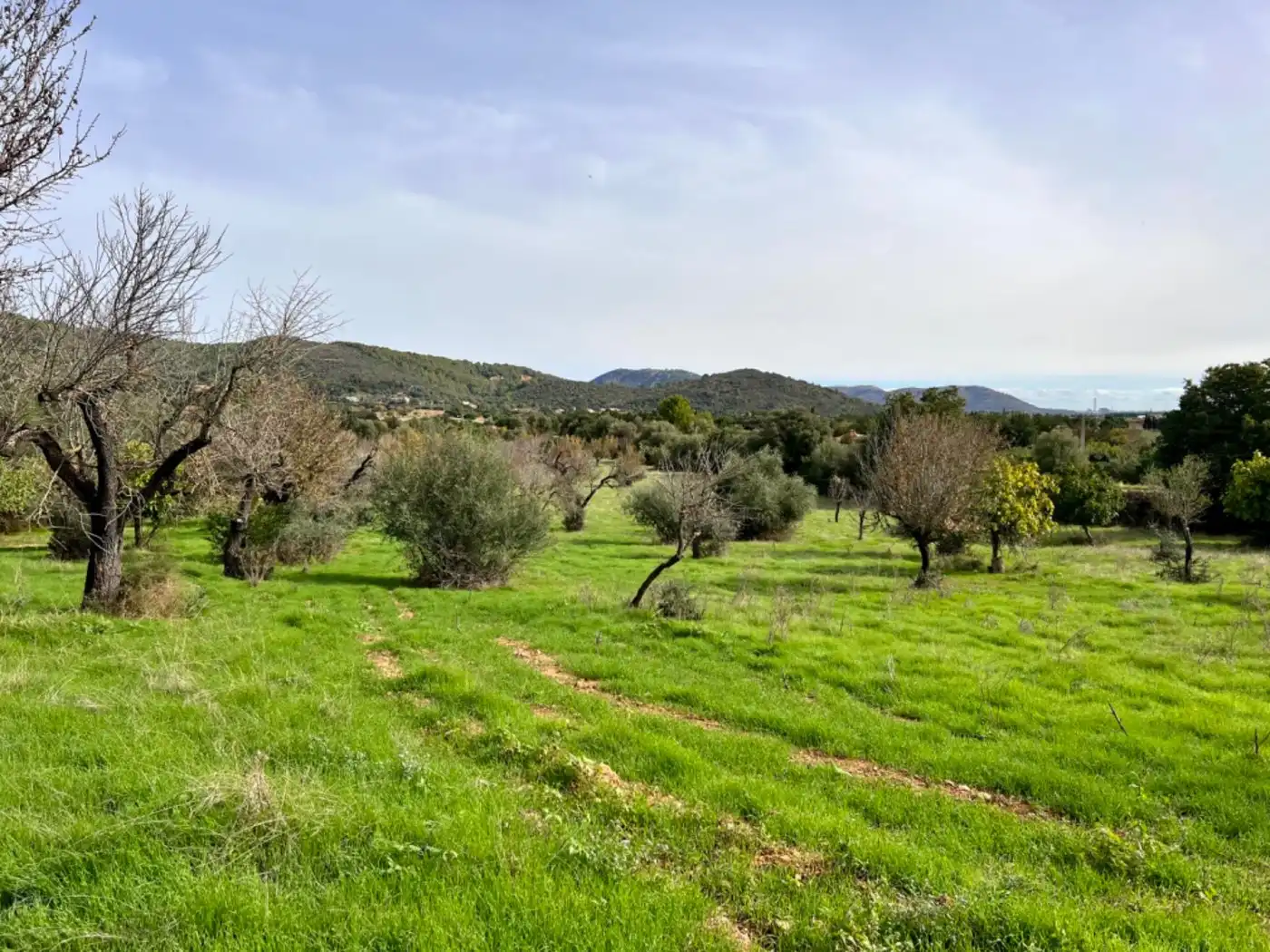 Casa rustica in vendita a Campanet, imagen 2
