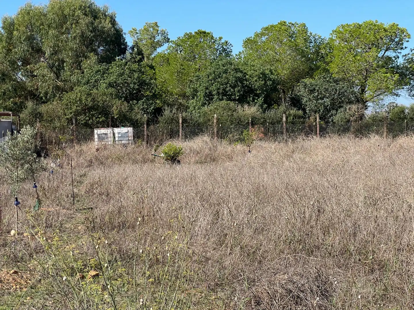 Terreno en venta en Santa Eugènia