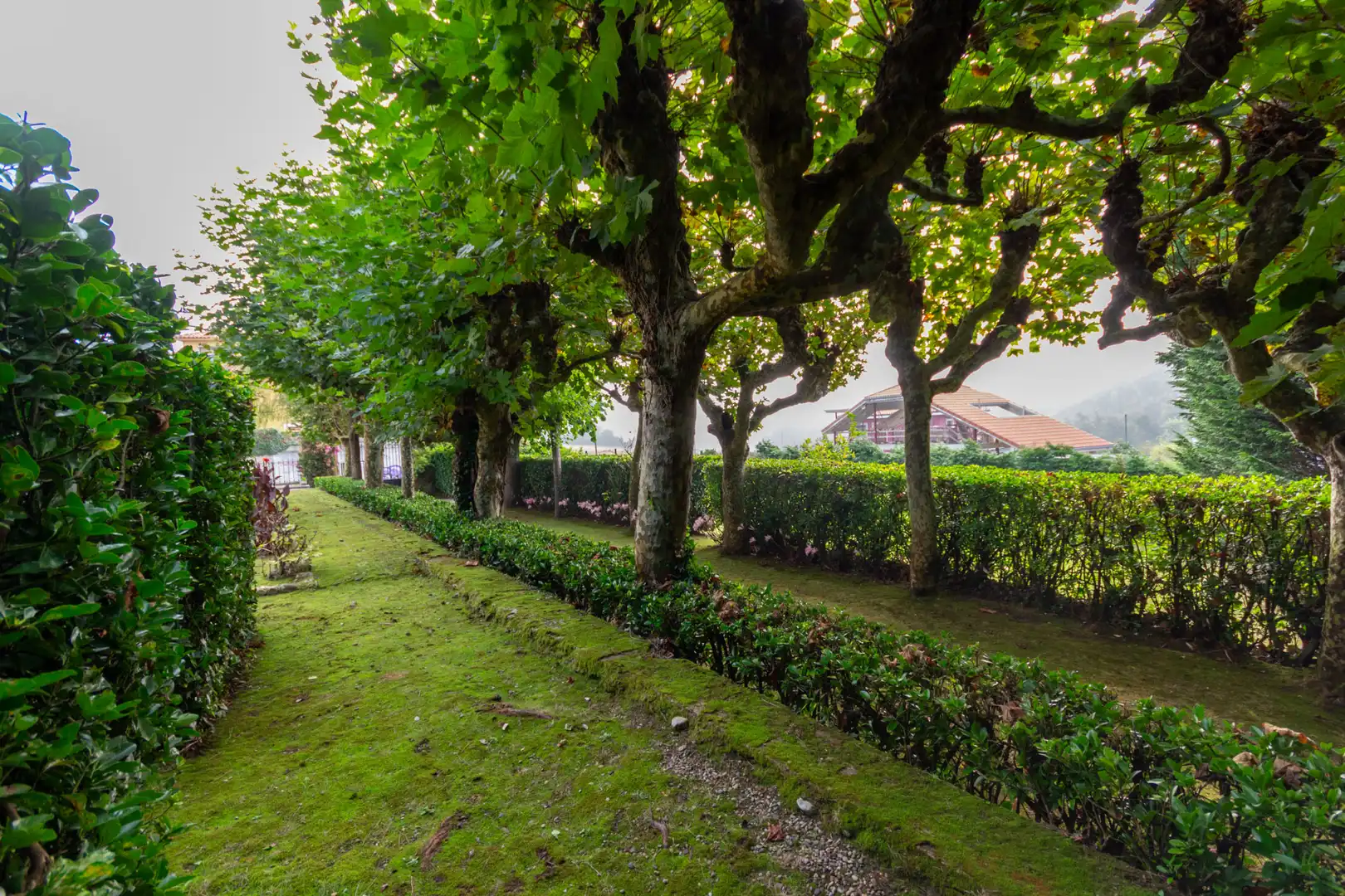 Villa con giardino in vendita a Calle Isla de la Erbosa 1A, imagen 21