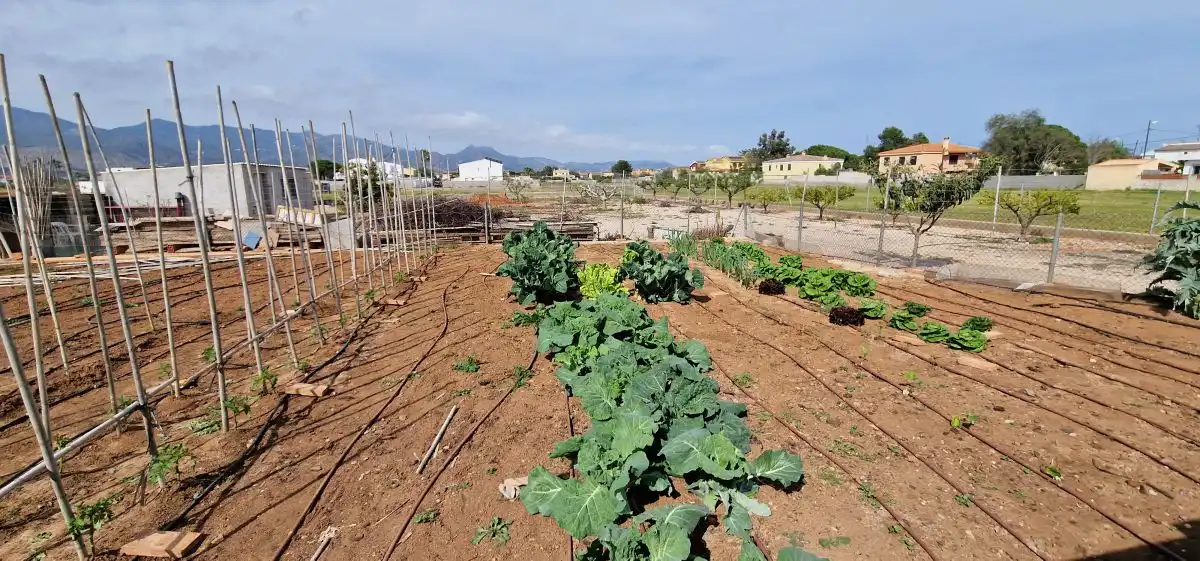Jardí de Casa o xalet en venda en Castellón de la Plana / Castelló de la Plana amb Terrassa, Traster i Piscina