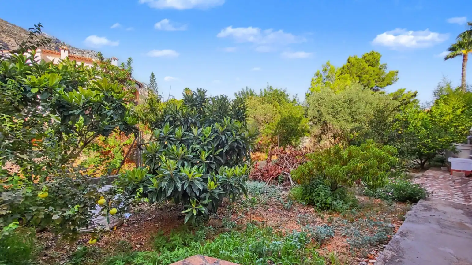 Garden of Houses for sale in Dénia  with Private garden, Terrace and Storage room