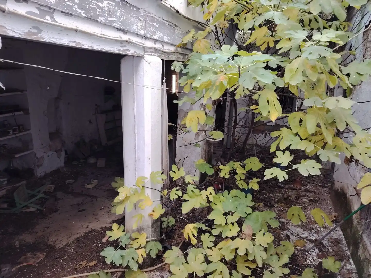 Inmuebles singulares en venta en Coín, imagen 22
