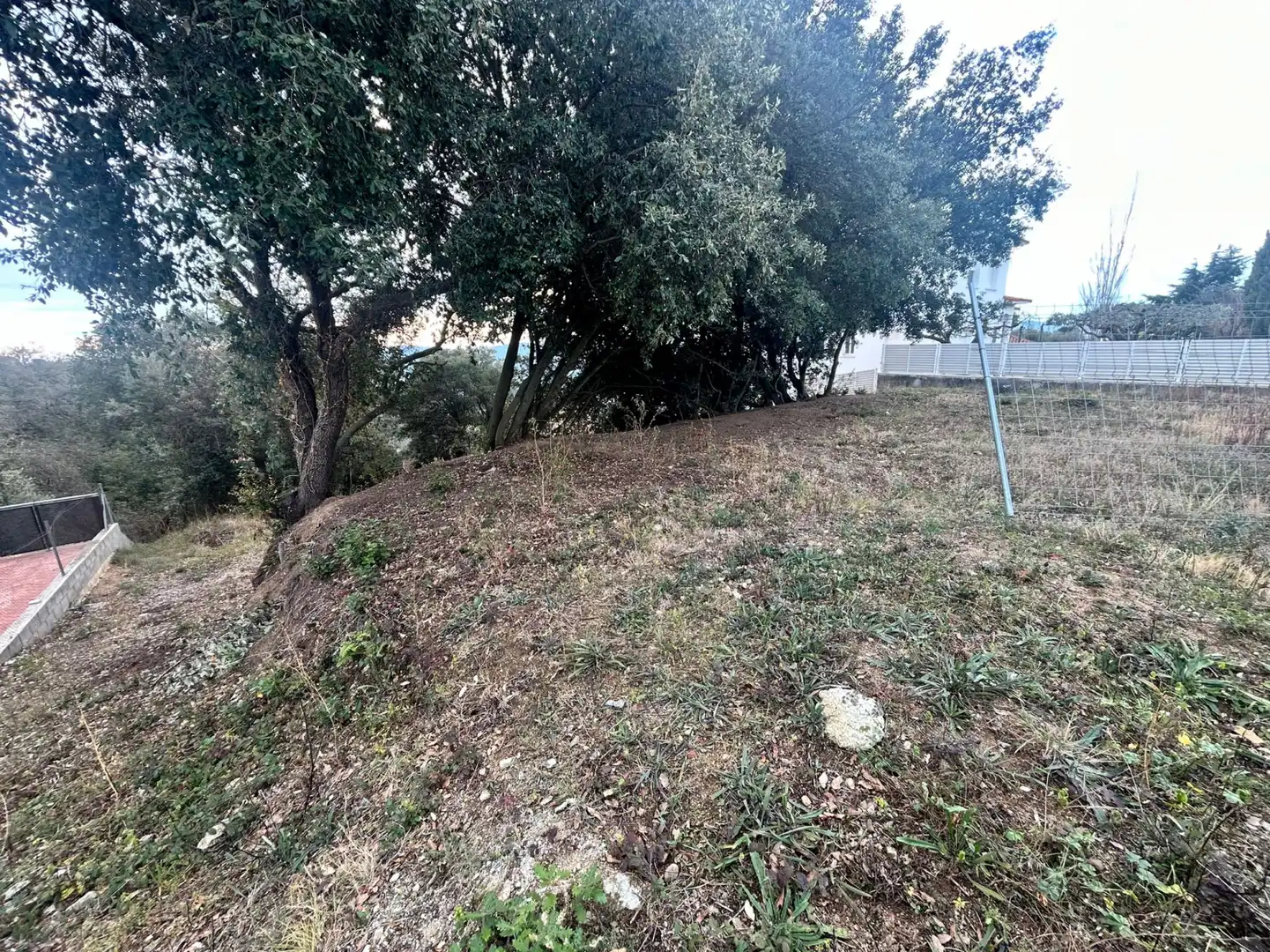 Terrain rustique à vendre à Dosrius - CL CAN DOMINGO, imagen 13