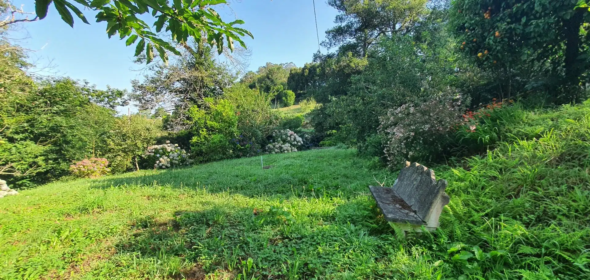 Casa o chalet en venta en Castropol con Calefacción, Jardín privado y Terraza