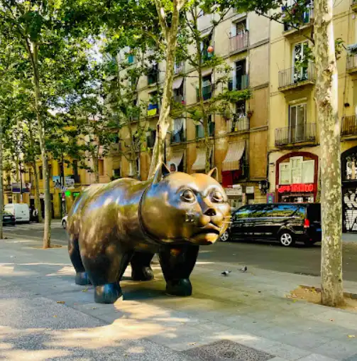 Appartement avec terrasse à vendre à Carrer de Sant Martí, imagen 8