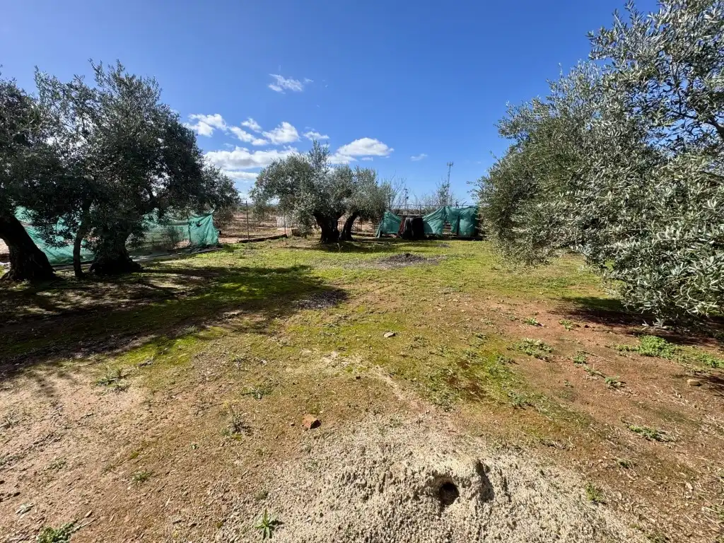 Residencial en venda a Diseminados Dehesilla(Huertas Extr)La, Andújar