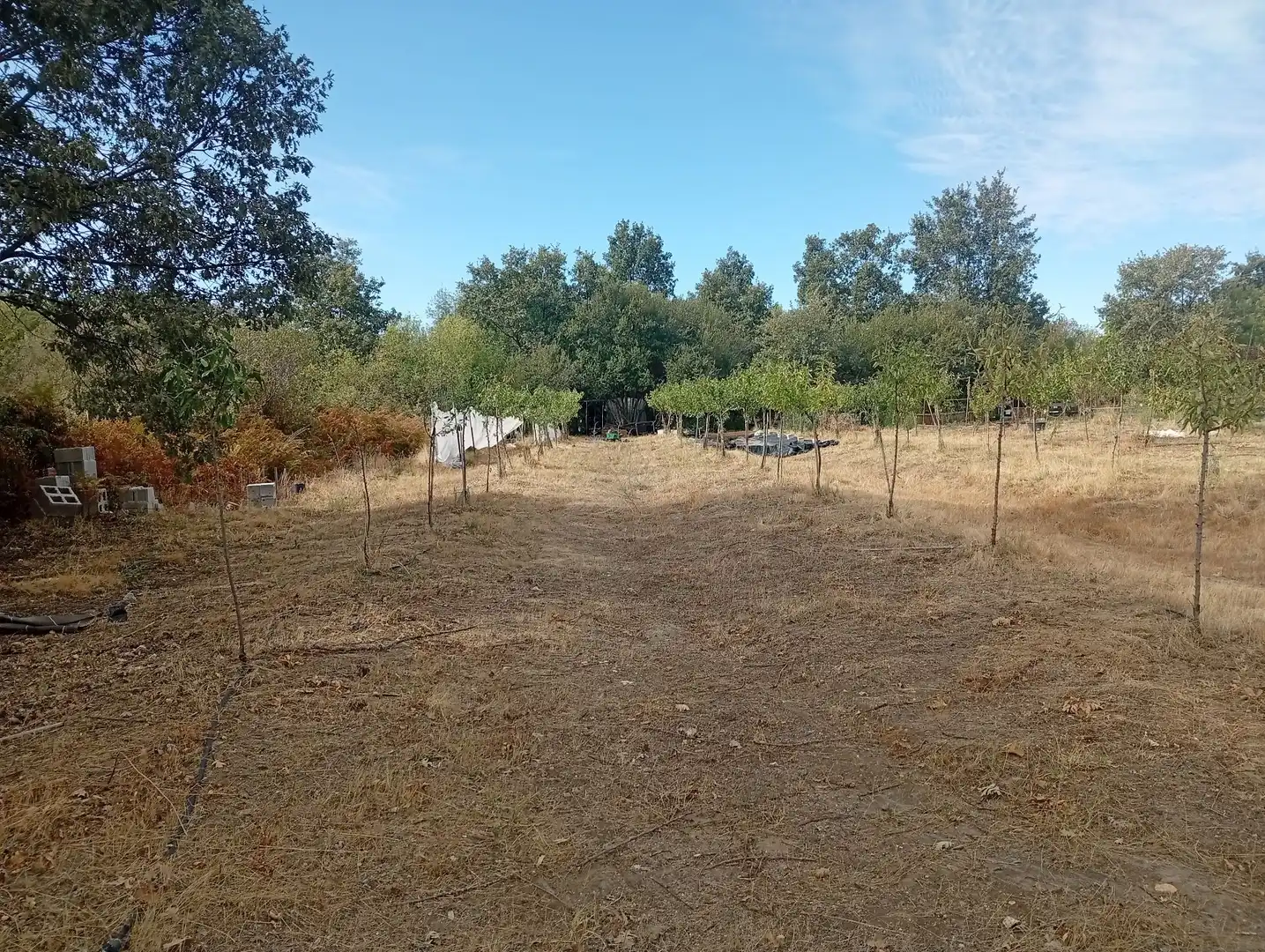 Terrain rustique à vendre à Villanueva de la Vera, imagen 38