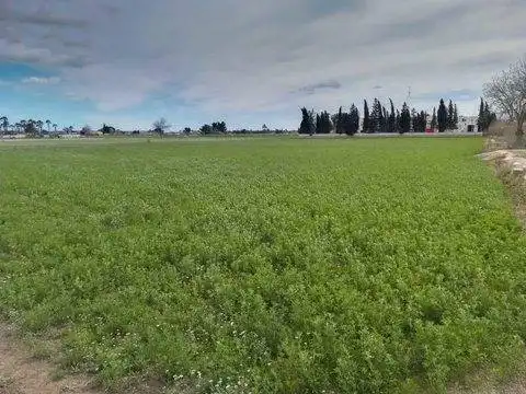 Terreni e lotti in vendita a Cam. los Tonecas, imagen 10