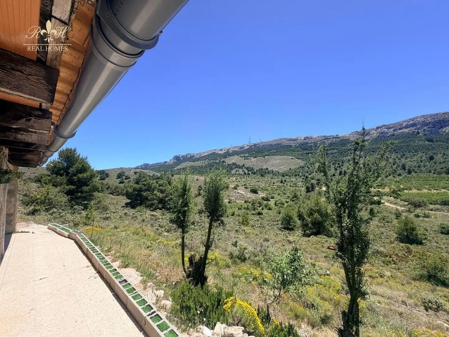 Vista exterior de Casa o xalet en venda en Confrides