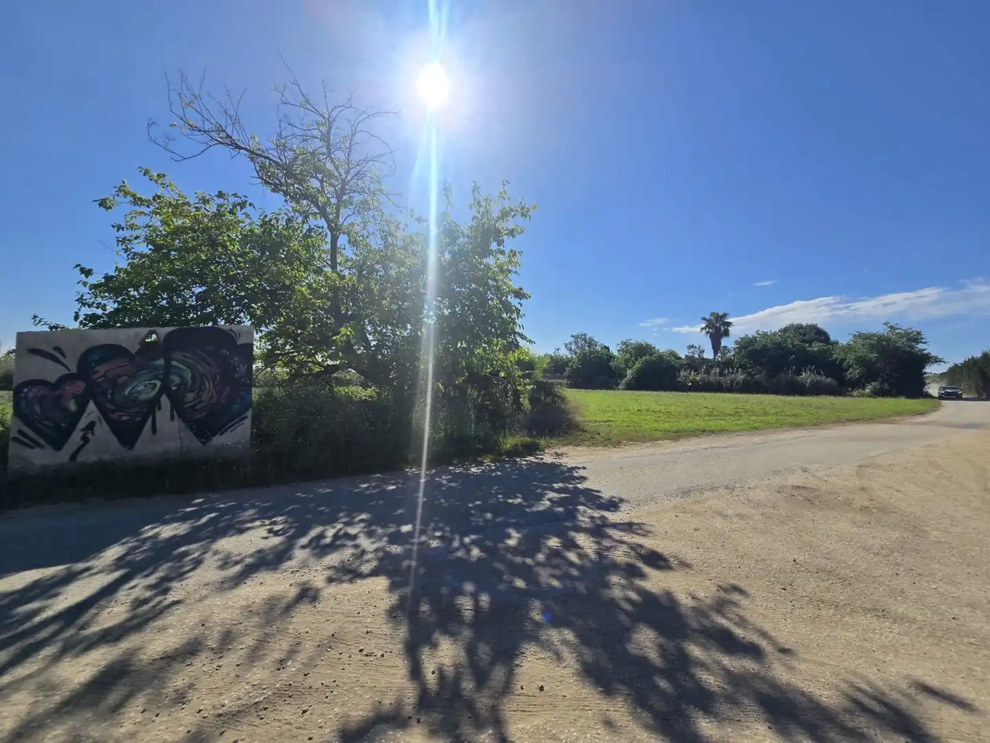 Terreno rústico en venta en Vilamarina, imagen 4