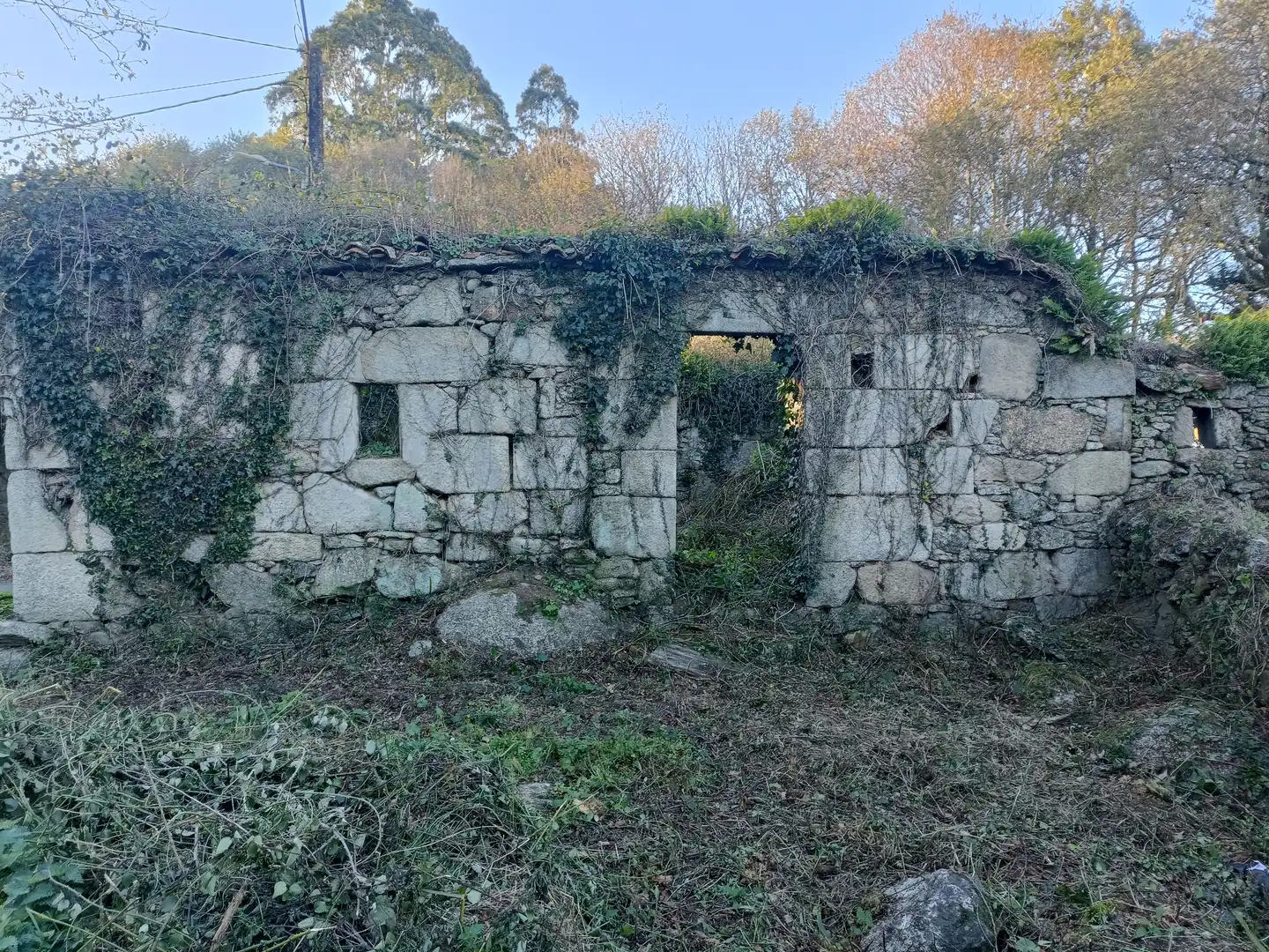 House with garden for sale in Curtis