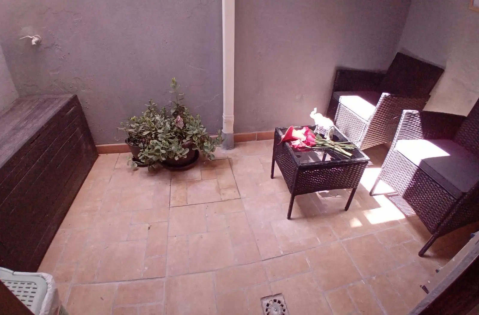 Nave industrial en venta en Pla - Carolinas, imagen 14