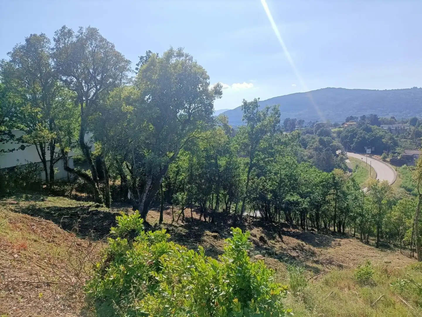 Terreni e lotti in vendita a San Rosendo, imagen 3